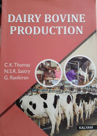 Dairy bovine production